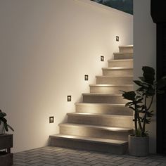 a set of stairs with lights on each side and potted plants next to it