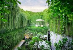 an outdoor garden with lots of green plants and umbrellas in the middle of it