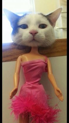 a cat that is looking over the top of a barbie doll's head and neck