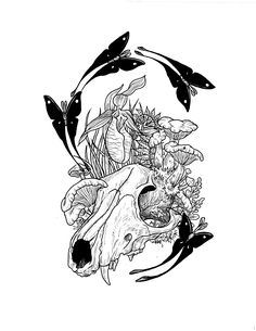 a black and white drawing of an animal skull surrounded by flowers, plants and leaves