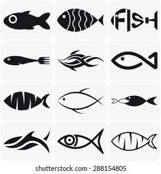 different types of fish and their silhouettes on white background stock photo, royalty illustration