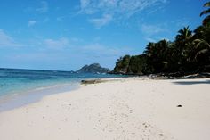 an empty beach with palm trees and clear blue water