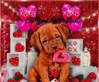 a dog is sitting in front of some hearts and cupcakes with the number two on it