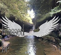 an image of a river with wings on it and the words peaceful life above it