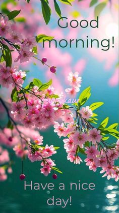 a card with pink flowers and the words good morning have a nice day on it