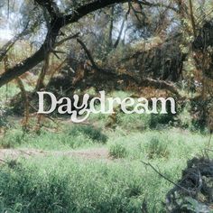 the words daydream are written in white over green grass and trees on a sunny day