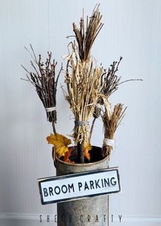 a sign that says broom parking in front of some dry grass and dead leaves on the ground