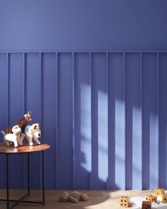 two small dogs sitting on top of a table in front of a blue striped wall