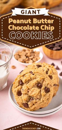 peanut butter chocolate chip cookies on a plate