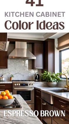 the kitchen cabinet color ideas for espresso brown