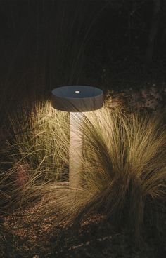 an illuminated lamp in the middle of some grass