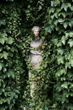 a statue is surrounded by ivy in the middle of an area that looks like it's growing