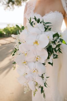 a bride holding a bouquet of white orchids