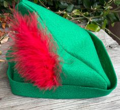 a green hat with red feathers sitting on top of a wooden table next to leaves