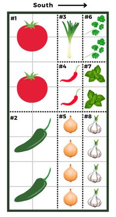 the vegetable crossword puzzle is shown with different vegetables and their corresponding names in each row