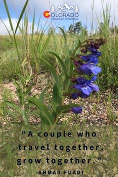 blue flowers in the grass with a quote about people who travel together, grow together