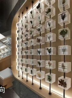 the wall is filled with many different types of flowers and plants in glass boxes on it