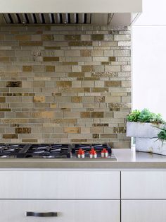 a stove top oven sitting inside of a kitchen next to a potted green plant