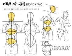 an image of how to draw the human body in 3 easy steps step by step