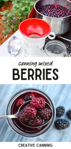 berries in a jar with the words canning mixed berries above it and an image of blackberries