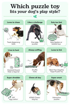 a poster with dogs and money on it's back cover, which puzzle toy fits your dog's play style?