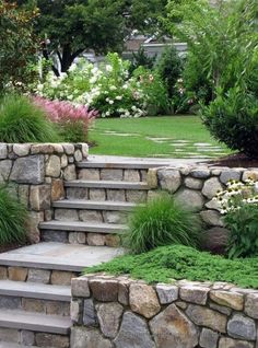 stone steps lead up to a lush green garden