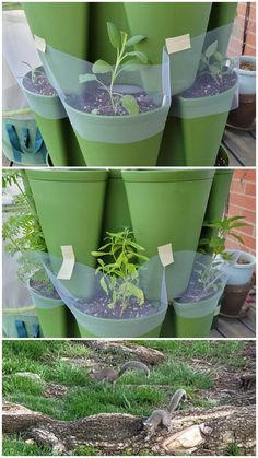 there are many pots that have plants in them on the same planter as each other