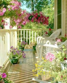 the porch is full of flowers and potted plants