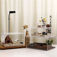 three clear acrylic containers with plants and rocks in them on a white table