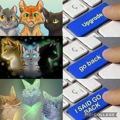 the keyboard has four different pictures of cats on it