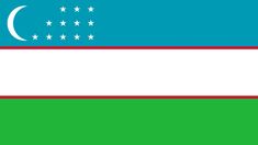 the flag of uzbekistan with stars and crescents on it's side, against a green background