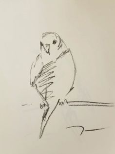 a drawing of a bird sitting on a branch