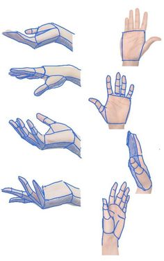 several hands are shown with different angles and shapes