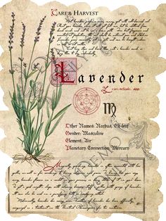 an old paper with some type of writing and flowers on it's side, as well as the letter e