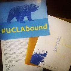 there is a polar bear on the back of this brochure and it says ugabound