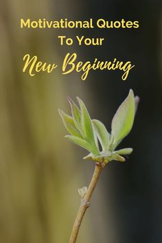 inspirational quotes to help you with your new beginning Reading