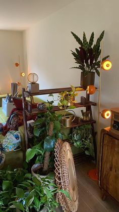 a living room filled with lots of green plants