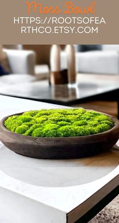 a bowl filled with green moss sitting on top of a white countertop next to a coffee table