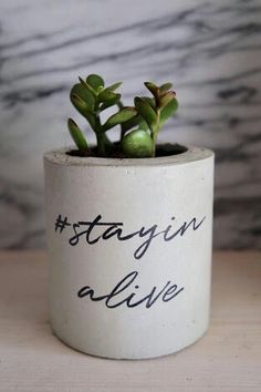 a small potted plant with the words stayin alive written in black ink on it