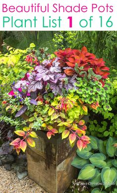 a wooden box filled with lots of different colored plants next to rocks and trees in the background