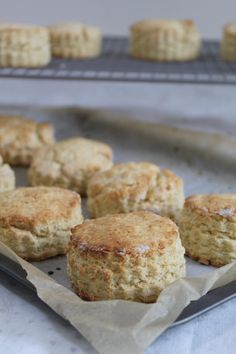 some biscuits are sitting on a baking sheet