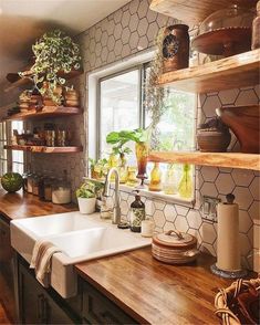 a kitchen with wooden counters and shelves filled with potted plants