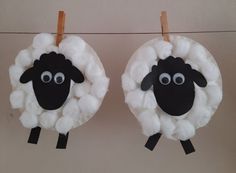 two black and white sheep hanging from clothes pins