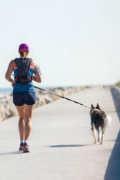 Canicross is a combination of the words "canine" and "cross-country." It's like going on a challenging run with your dog on hiking trails, so practice and safety skills are needed to thoroughly enjoy this sport. The dog wears a harness specifically made for Canicross, and the person is attached to the harness with an elastic line and a waist belt. The equipment makes the sport hands-free because there's no leash to hold onto: it's all in the waist. Dog Running Leash, Cool Dog Collars, Purple Dog Collar, Velvet Dog Collar, Red Dog Collar, Engraved Dog Collar, Luxury Dog Collars, Dog Collar Boy, Dog Collar With Name