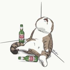 a cat sitting on the floor next to two beer bottles