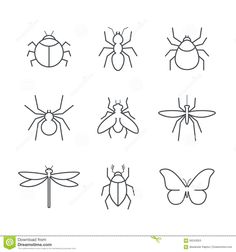 insect icon set in thin line style on white background stock photo edit now for more