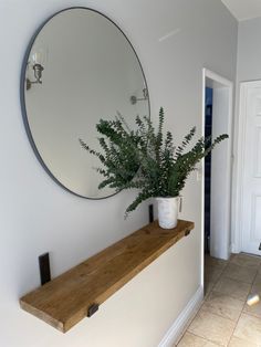 a potted plant sitting on top of a wooden shelf in front of a mirror