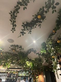 the ceiling is covered with greenery and hanging lemons in an indoor bar area