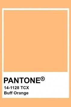 the pantonee color is shown in an orange hue, with white trim and a square