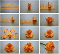 many different pictures of flowers made out of paper